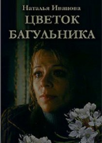 «Цветок багульника»