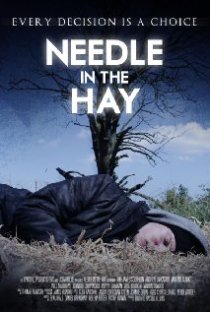 «Needle in the Hay»