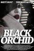 Постер «Black Orchid»
