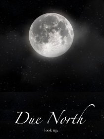 «Due North»