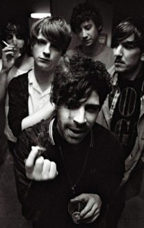 «Foals»